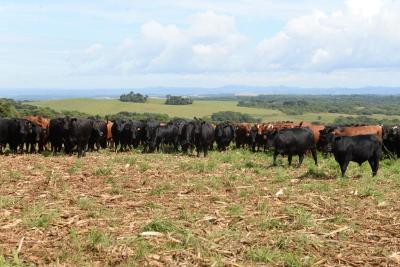 Comissão de mulheres da FAEP realiza viagem técnica e destaca integração e inovação no Agro